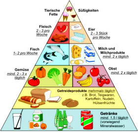 Nahrungsmittelpyramide, ErnÃ¤hrung in der Schwangerschaft